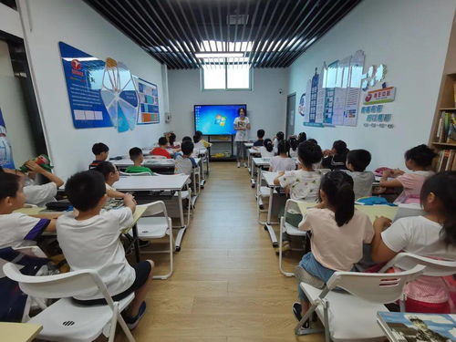 校内校外协同发力，多元教育服务护航爱心暑托班供给